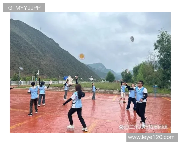 飞盘战术解析：深入探讨北京飞盘队的战术控制与团队协作体系